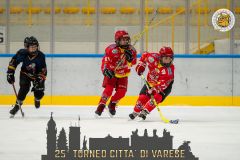 02-GladiatorsAostaVsAllegheHockey-35