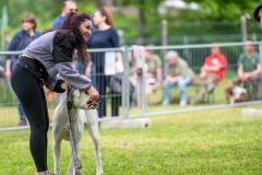 1_05-05_DAI_Domenica_04_Campo-38