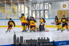 14-AllegheHockeyVsVarosta-12