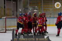 20-AllegheHockeyVsValpelliceBulldogs-48