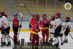 20-AllegheHockeyVsValpelliceBulldogs-50