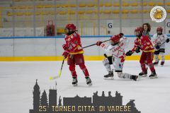 20-AllegheHockeyVsValpelliceBulldogs-7