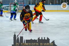 28-HCValrendenaVsVarosta-5